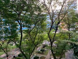 Blk 255 Kim Keat Avenue (Toa Payoh), HDB 5 Rooms #390595521